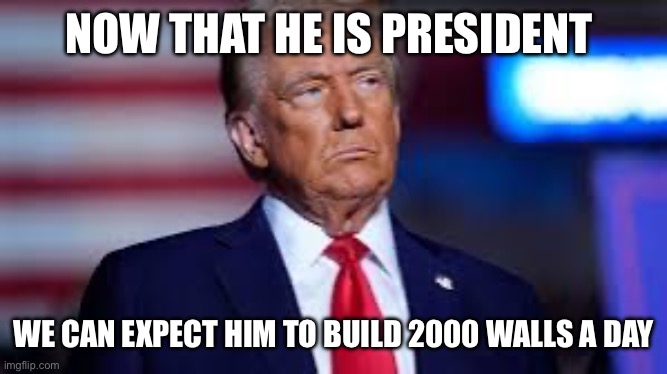 NOW THAT HE IS PRESIDENT; WE CAN EXPECT HIM TO BUILD 2000 WALLS A DAY | image tagged in donald trump | made w/ Imgflip meme maker