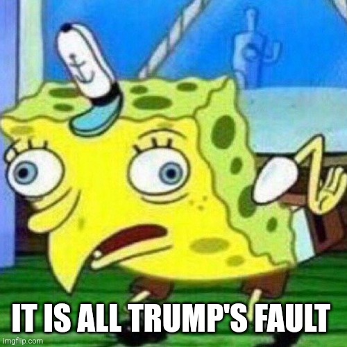 triggerpaul | IT IS ALL TRUMP'S FAULT | image tagged in triggerpaul | made w/ Imgflip meme maker