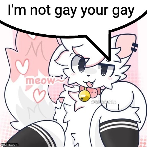 femboy boykisser speech bubble | I'm not gay your gay | image tagged in femboy boykisser speech bubble | made w/ Imgflip meme maker