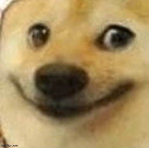 Happi Doge | image tagged in happi doge | made w/ Imgflip meme maker