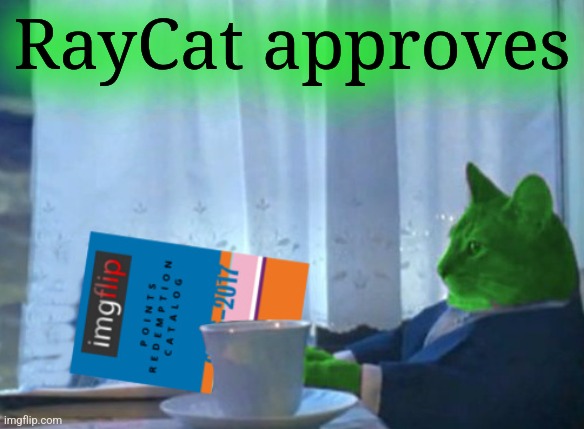 RayCat redeeming points | RayCat approves | image tagged in raycat redeeming points | made w/ Imgflip meme maker