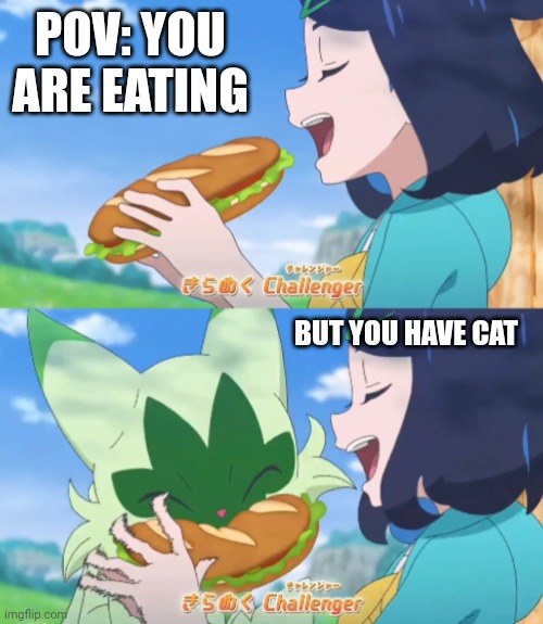 What a little thefts. | POV: YOU ARE EATING; BUT YOU HAVE CAT | image tagged in floragato steal liko's sandwich,food,cats | made w/ Imgflip meme maker