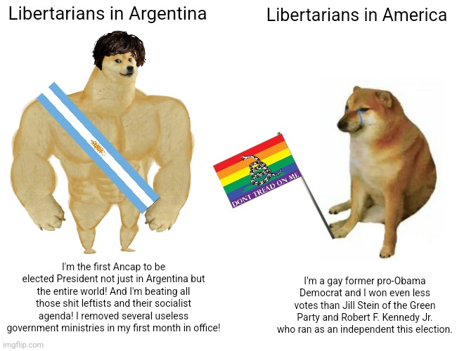 Argentinian libertarians get elected into office, American libertarians are just weak | Libertarians in Argentina; Libertarians in America; I'm the first Ancap to be elected President not just in Argentina but the entire world! And I'm beating all those shit leftists and their socialist agenda! I removed several useless government ministries in my first month in office! I'm a gay former pro-Obama Democrat and I won even less votes than Jill Stein of the Green Party and Robert F. Kennedy Jr. who ran as an independent this election. | image tagged in memes,buff doge vs cheems,libertarians,libertarian,javier milei,chase oliver | made w/ Imgflip meme maker