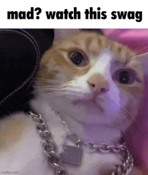 Watch this swag | image tagged in watch this swag | made w/ Imgflip meme maker