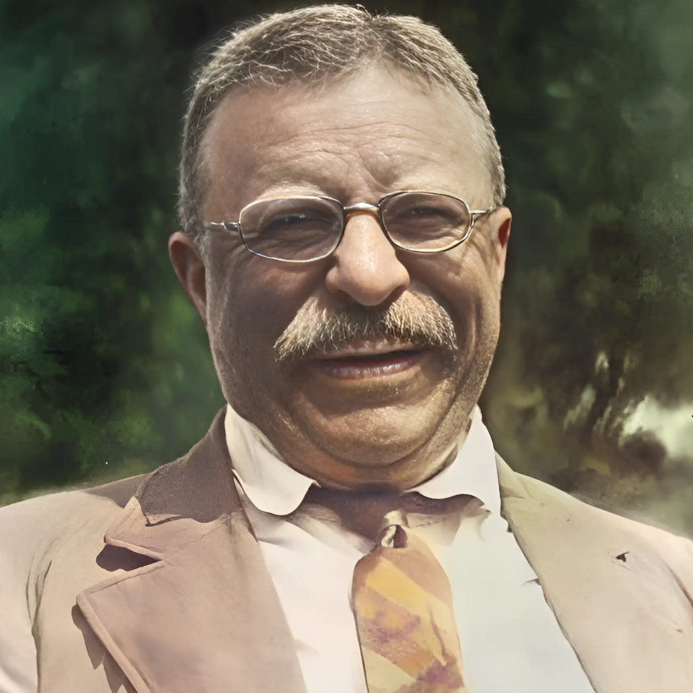 Teddy Roosevelt Blank Meme Template