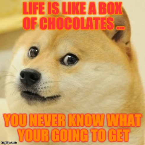 Doge Meme | LIFE IS LIKE A BOX OF CHOCOLATES ... YOU NEVER KNOW WHAT YOUR GOING TO GET | image tagged in memes,doge | made w/ Imgflip meme maker