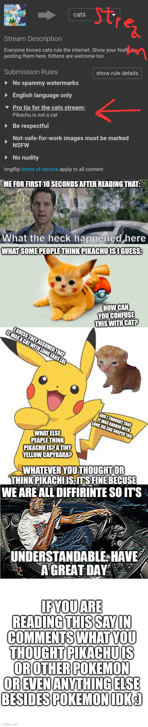 Is pikachu a cat???? | ME FOR FIRST 10 SECONDS AFTER READING THAT:; WHAT SOME PEOPLE THINK PIKACHU IS I GUESS:; HOW CAN YOU CONFUSE THIS WITH CAT? I GUESS THEY ASSUMED THAT IT WAS A CAT WITH LONG EARS LOL; AND I THOUGHT THAT IT WAS RABBID WITH LONG ZIG-ZAG SHAPED TAIL; WHAT ELSE PEAPLE THINK PIKACHU IS? A TINY YELLOW CAPYBARA? WHATEVER YOU THOUGHT OR THINK PIKACHI IS, IT'S FINE BECUSE; WE ARE ALL DIFFIRINTE SO IT'S; IF YOU ARE READING THIS SAY IN COMMENTS WHAT YOU THOUGHT PIKACHU IS OR OTHER POKEMON
OR EVEN ANYTHING ELSE BESIDES POKEMON IDK :) | image tagged in antman what the heck happened here,pikachu cat,pokemon,understandable have a great day,memes,blank transparent square | made w/ Imgflip meme maker