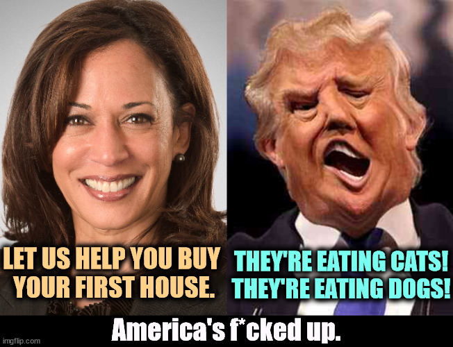 It's obvious already. | LET US HELP YOU BUY 
YOUR FIRST HOUSE. THEY'RE EATING CATS!
THEY'RE EATING DOGS! America's f*cked up. | image tagged in kamala harris sane donald trump crazy on acid,kamala harris,house,trump,cannibals | made w/ Imgflip meme maker