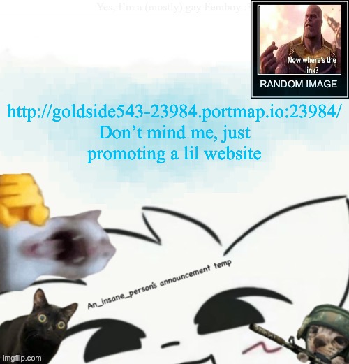 My lil announcement | http://goldside543-23984.portmap.io:23984/ Don’t mind me, just promoting a lil website | image tagged in my lil announcement | made w/ Imgflip meme maker