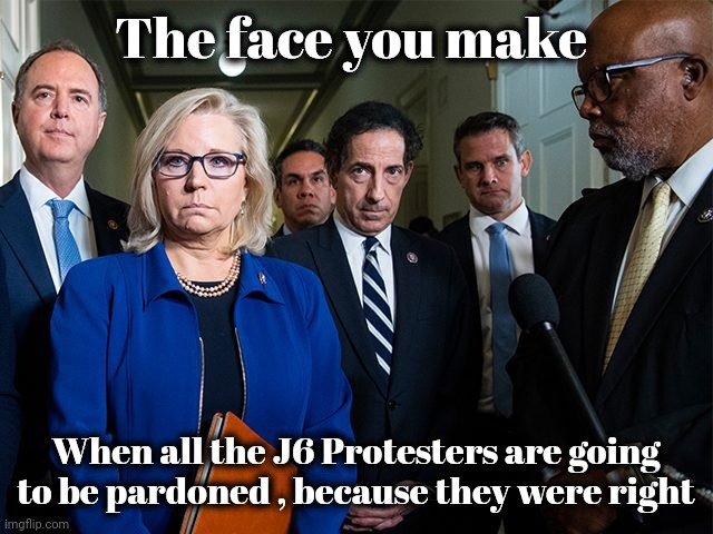 J6 Committee | The face you make When all the J6 Protesters are going to be pardoned , because they were right | image tagged in j6 committee | made w/ Imgflip meme maker