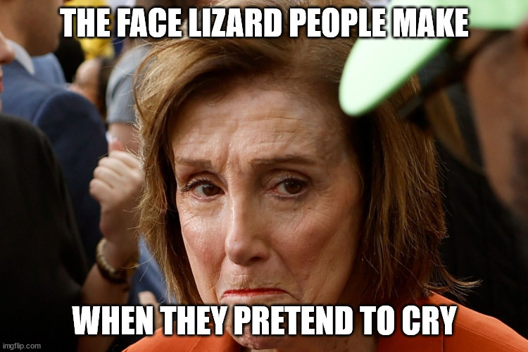 LIZARD PEOPLE | THE FACE LIZARD PEOPLE MAKE; WHEN THEY PRETEND TO CRY | image tagged in funny meme | made w/ Imgflip meme maker