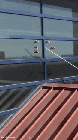 Window Rattle Gif Animated GIF - Imgflip