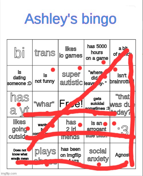 Ashley's bingo | image tagged in ashley's bingo | made w/ Imgflip meme maker