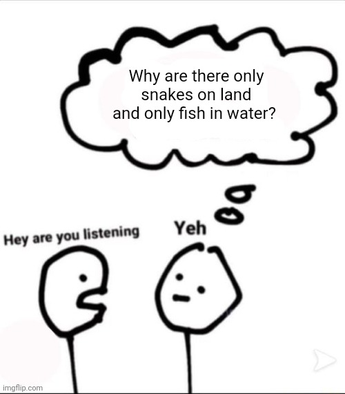 Weird thought | Why are there only snakes on land and only fish in water? | image tagged in when you're not listening,shower thoughts,random,weird,snake,fish | made w/ Imgflip meme maker