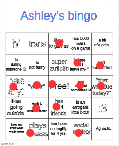 Ashley's bingo | image tagged in ashley's bingo | made w/ Imgflip meme maker