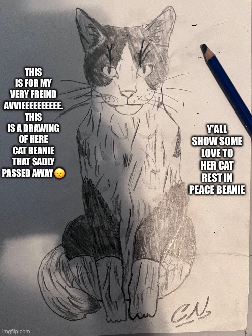 Rest in peace beanie and I hope you are doing ok avvieeee | THIS IS FOR MY VERY FREIND AVVIEEEEEEEEEE. THIS IS A DRAWING OF HERE CAT BEANIE THAT SADLY PASSED AWAY😞; Y’ALL SHOW SOME LOVE TO HER CAT REST IN PEACE BEANIE | made w/ Imgflip meme maker