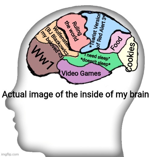 Actual image of the inside of my brain | *Tsarist Version of Red Alert 3*; Ruling the world; Wolfenstein (BJ Blazkowicz my beloved <3); Food; Ww1; Cookies; "I need sleep" *doesn't sleep*; Video Games | image tagged in actual image of the inside of my brain | made w/ Imgflip meme maker