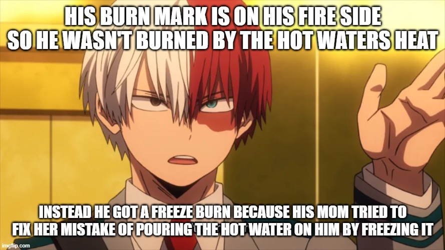 I don't want to hear it Todoroki | HIS BURN MARK IS ON HIS FIRE SIDE SO HE WASN'T BURNED BY THE HOT WATERS HEAT; INSTEAD HE GOT A FREEZE BURN BECAUSE HIS MOM TRIED TO FIX HER MISTAKE OF POURING THE HOT WATER ON HIM BY FREEZING IT | image tagged in i don't want to hear it todoroki | made w/ Imgflip meme maker