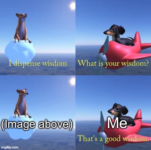 Wisdom dog | Me (Image above) | image tagged in wisdom dog | made w/ Imgflip meme maker