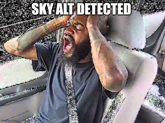 Death Grips Static | SKY ALT DETECTED | image tagged in death grips static | made w/ Imgflip meme maker