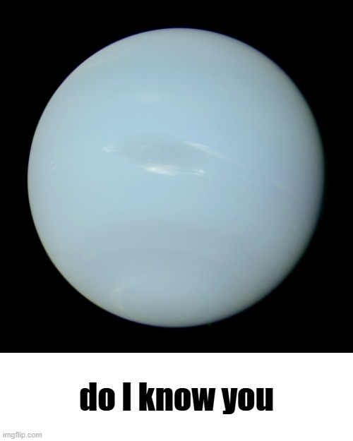 new temp | image tagged in true color neptune do i know you | made w/ Imgflip meme maker