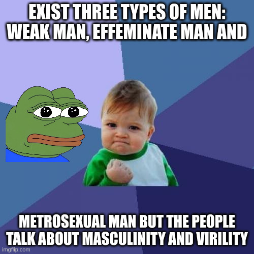 ha ha | EXIST THREE TYPES OF MEN: WEAK MAN, EFFEMINATE MAN AND; METROSEXUAL MAN BUT THE PEOPLE TALK ABOUT MASCULINITY AND VIRILITY | image tagged in memes,success kid | made w/ Imgflip meme maker