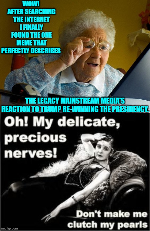 Pretty much, yes. | WOW!  AFTER SEARCHING THE INTERNET I FINALLY FOUND THE ONE MEME THAT PERFECTLY DESCRIBES; THE LEGACY MAINSTREAM MEDIA'S REACTION TO TRUMP RE-WINNING THE PRESIDENCY. | image tagged in yep | made w/ Imgflip meme maker