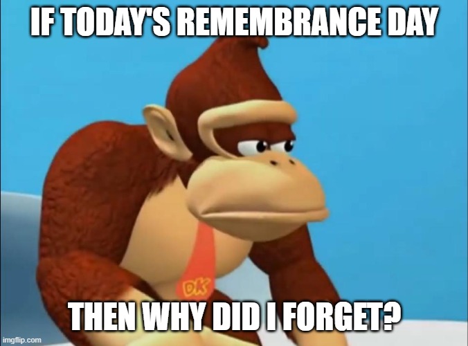 so true tho | IF TODAY'S REMEMBRANCE DAY; THEN WHY DID I FORGET? | image tagged in donkey kong sad | made w/ Imgflip meme maker