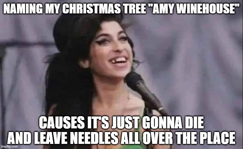 Amy Christmas | NAMING MY CHRISTMAS TREE "AMY WINEHOUSE"; CAUSES IT'S JUST GONNA DIE AND LEAVE NEEDLES ALL OVER THE PLACE | image tagged in dark humor | made w/ Imgflip meme maker