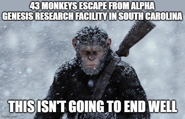 Cesar | 43 MONKEYS ESCAPE FROM ALPHA GENESIS RESEARCH FACILITY IN SOUTH CAROLINA; THIS ISN'T GOING TO END WELL | image tagged in monkees,43 monkees | made w/ Imgflip meme maker