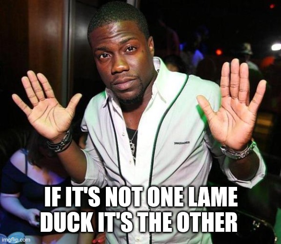 Kevin Hart Hands up | IF IT'S NOT ONE LAME
DUCK IT'S THE OTHER | image tagged in kevin hart hands up | made w/ Imgflip meme maker