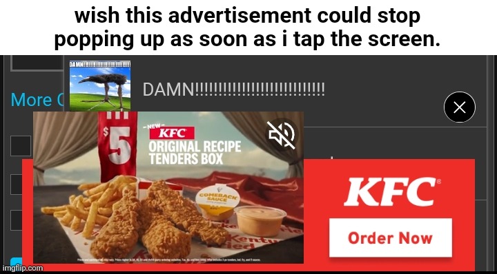 wish this advertisement could stop popping up as soon as i tap the screen. | made w/ Imgflip meme maker