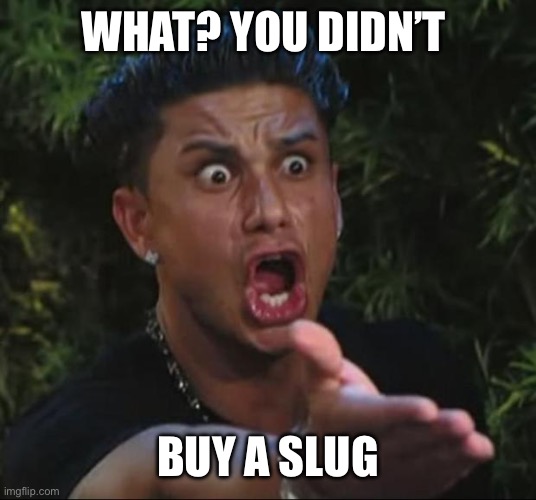 DJ Pauly D Meme | WHAT? YOU DIDN’T BUY A SLUG | image tagged in memes,dj pauly d | made w/ Imgflip meme maker