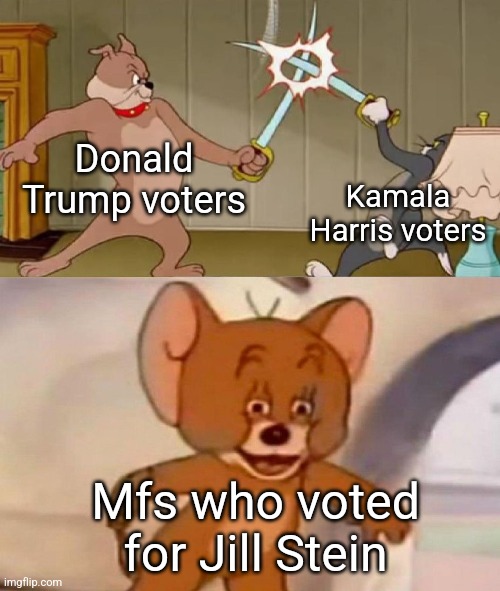 Most people don't even know who this is | Donald Trump voters; Kamala Harris voters; Mfs who voted for Jill Stein | image tagged in tom and jerry swordfight | made w/ Imgflip meme maker