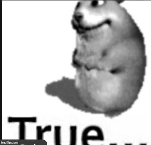 True creature | image tagged in true creature | made w/ Imgflip meme maker