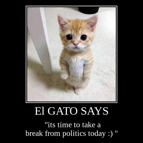 :) | El GATO SAYS | "its time to take a break from politics today :) " | image tagged in funny,demotivationals | made w/ Imgflip demotivational maker