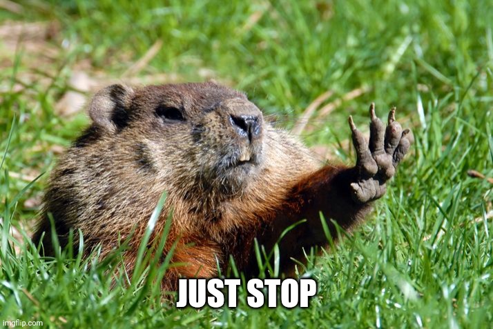 Just Stop Groundhog | JUST STOP | image tagged in just stop groundhog | made w/ Imgflip meme maker