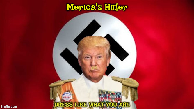 Merica's Hitler | image tagged in merica's hitler,duh furhrer,maga malevolent,dress like a dic-tator,mein drumpf,mummar match | made w/ Imgflip meme maker