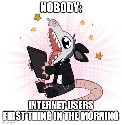 First thing's first | NOBODY:; INTERNET USERS FIRST THING IN THE MORNING | image tagged in possum template,jpfan102504 | made w/ Imgflip meme maker