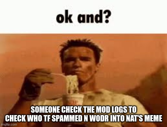 ok and? | SOMEONE CHECK THE MOD LOGS TO CHECK WHO TF SPAMMED N WODR INTO NAT'S MEME | image tagged in ok and | made w/ Imgflip meme maker