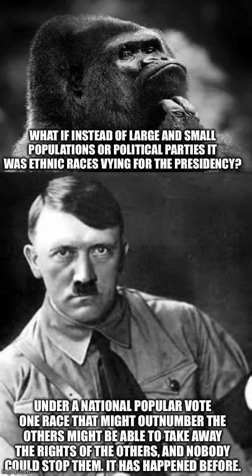 WHAT IF INSTEAD OF LARGE AND SMALL POPULATIONS OR POLITICAL PARTIES IT WAS ETHNIC RACES VYING FOR THE PRESIDENCY? UNDER A NATIONAL POPULAR VOTE ONE RACE THAT MIGHT OUTNUMBER THE OTHERS MIGHT BE ABLE TO TAKE AWAY THE RIGHTS OF THE OTHERS, AND NOBODY COULD STOP THEM. IT HAS HAPPENED BEFORE. | image tagged in thinking monkey,adolf hitler | made w/ Imgflip meme maker