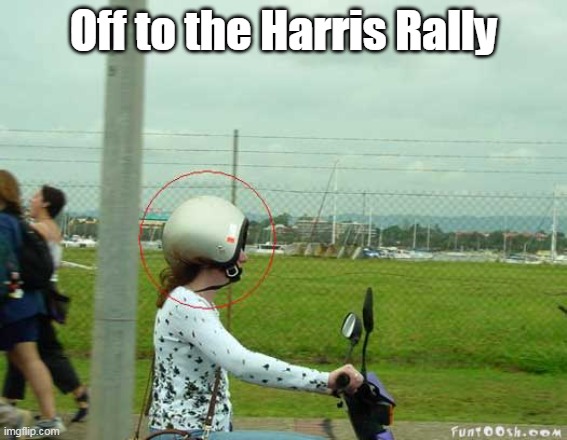 Off to the Harris Rally | made w/ Imgflip meme maker