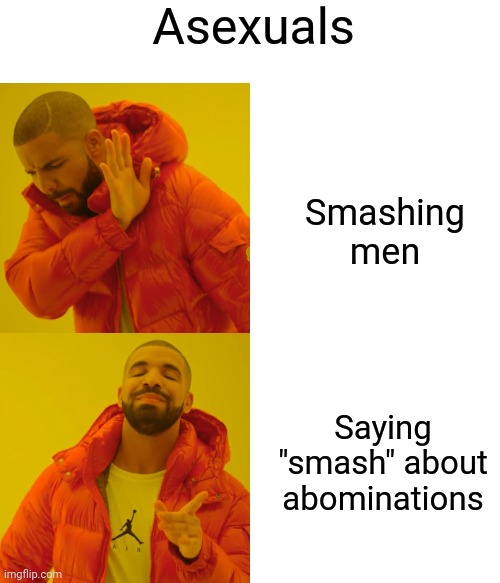 Asexuals; Smashing men; Saying "smash" about abominations | image tagged in memes,drake hotline bling | made w/ Imgflip meme maker