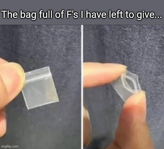 No F's left | The bag full of F's I have left to give... | image tagged in no f's to give,empty,bag,f's | made w/ Imgflip meme maker