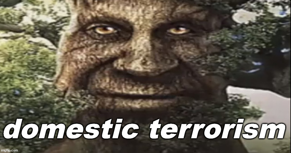 Wise mystical tree | domestic terrorism | image tagged in wise mystical tree | made w/ Imgflip meme maker