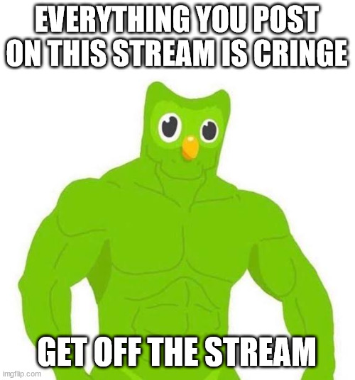 Buffed Duolingo | EVERYTHING YOU POST ON THIS STREAM IS CRINGE GET OFF THE STREAM | image tagged in buffed duolingo | made w/ Imgflip meme maker