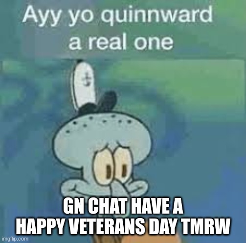 gn | GN CHAT HAVE A HAPPY VETERANS DAY TMRW | image tagged in quinnward | made w/ Imgflip meme maker