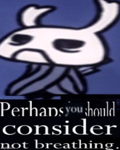 Hollow Knight "Not breathing" | image tagged in hollow knight not breathing | made w/ Imgflip meme maker