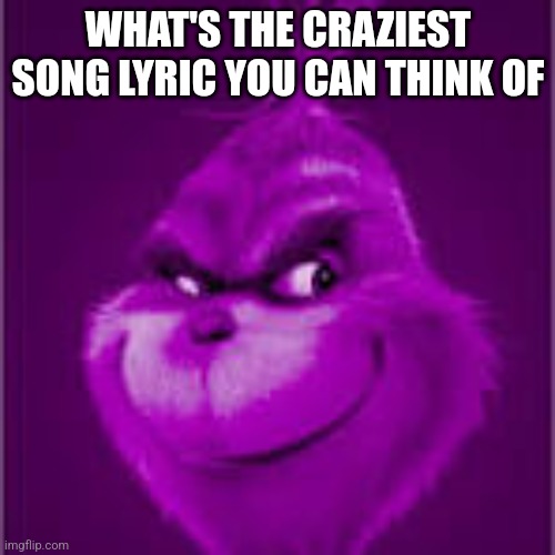 purple grinch | WHAT'S THE CRAZIEST SONG LYRIC YOU CAN THINK OF | image tagged in purple grinch | made w/ Imgflip meme maker