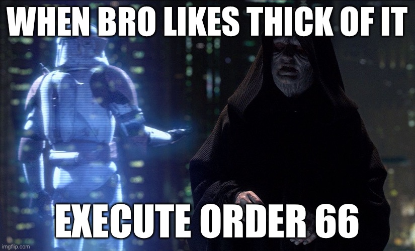 Execute Order 66 | WHEN BRO LIKES THICK OF IT; EXECUTE ORDER 66 | image tagged in execute order 66 | made w/ Imgflip meme maker